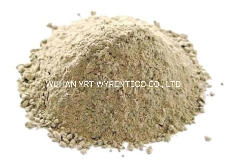 Hot Selling Unshaped Refractory Materials for Ladle & Converter & Eaf